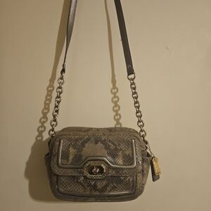 Coach Cambell Me Iridescent Python  Crossbody Bag F24849 –Rare& Stunning